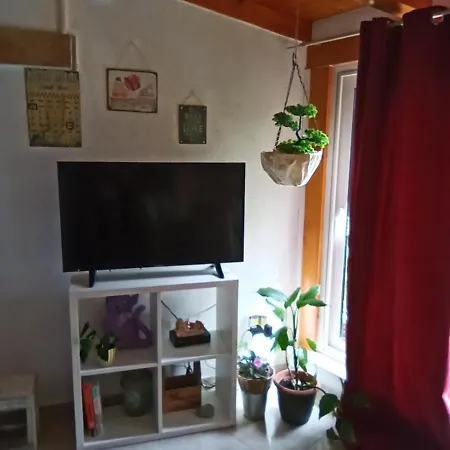 Visnja *